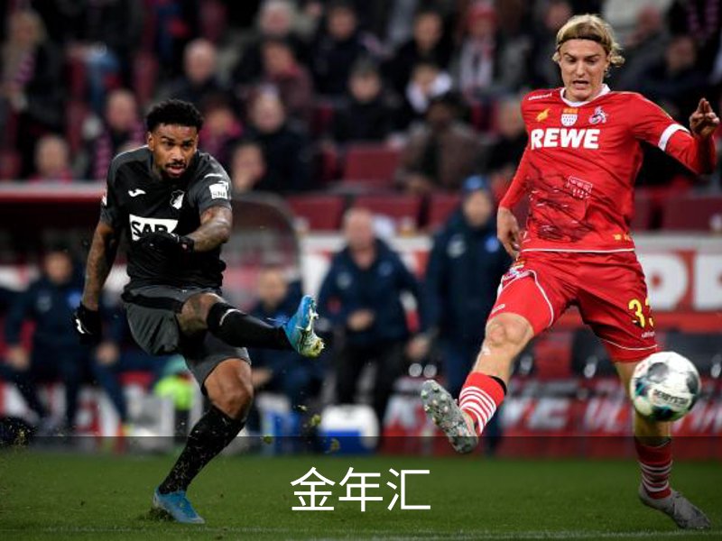 关于金年汇